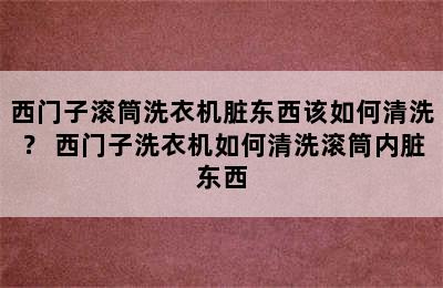 西门子滚筒洗衣机脏东西该如何清洗？ 西门子洗衣机如何清洗滚筒内脏东西